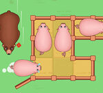 Slide Puzzle: Piggy Transfer